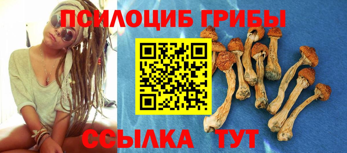 Галлюциногенные грибы Cubensis Якутск